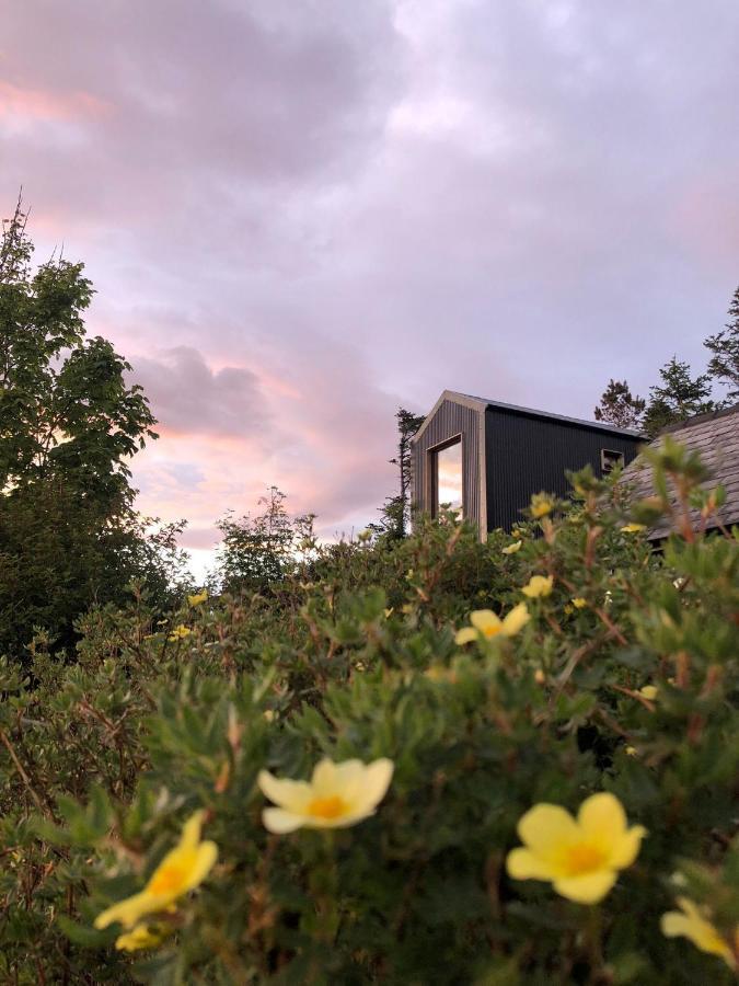 Tiny Home In Isle Of Skye - Pet Friendly Elgol Exterior foto