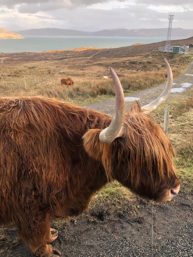 Tiny Home In Isle Of Skye - Pet Friendly Elgol Exterior foto